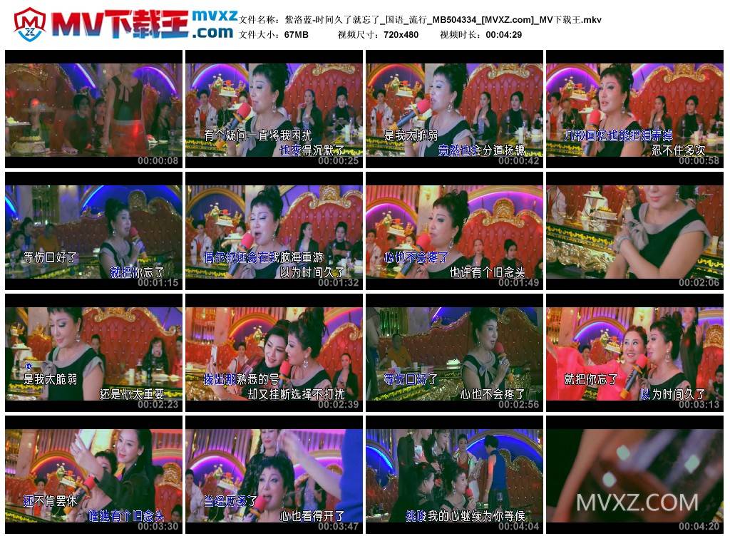 紫洛蓝-时间久了就忘了_国语_流行_MB504334